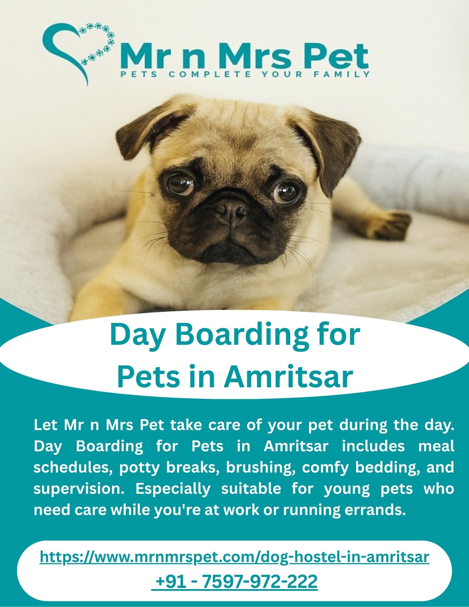 Day Boarding for Pets in Amritsar